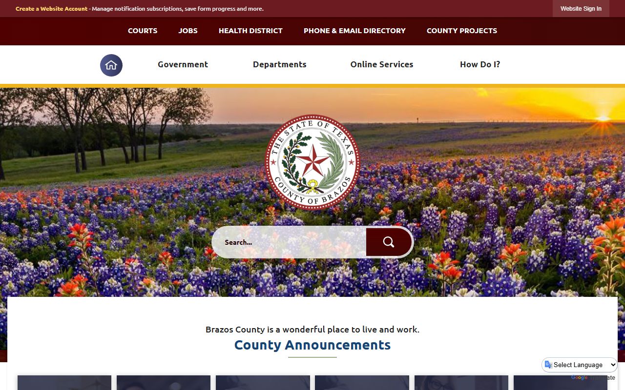 Brazos County marriage records - Brazos County website and clerk services